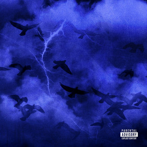 《隔壁人妻》苍井空
